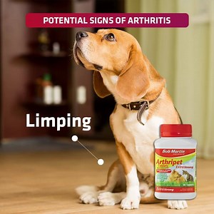 4.9K views · 43 reactions | Ease your doggos symptoms with an arthritis support treatment like BOB MARTIN Arthripet Extra Strong (also available in Regular for more mild symptoms). | Bob Martin SA | Facebook