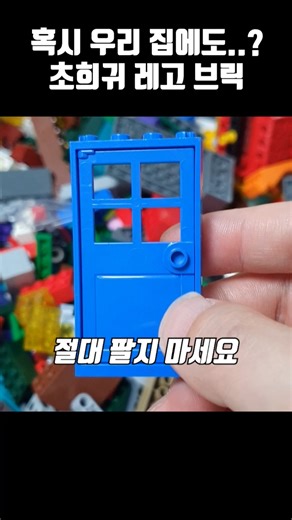 혹시 우리 집에도..? 초희귀 레고 브릭