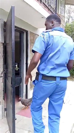 Don't sleep @work | Abdi Munai