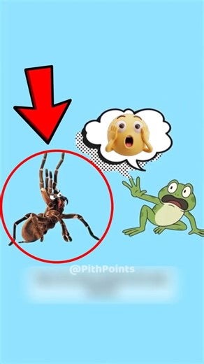 Why Tarantulas Don’t Eat This Frog | Amazing Animal Facts 😱