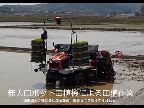 無人ロボット田植機による田植え
