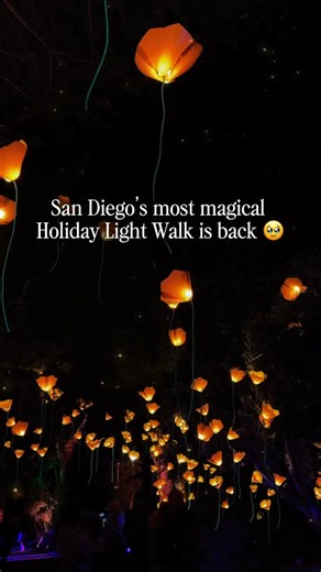 30K views · 4.3K reactions | San Diego’s most magical holiday light...