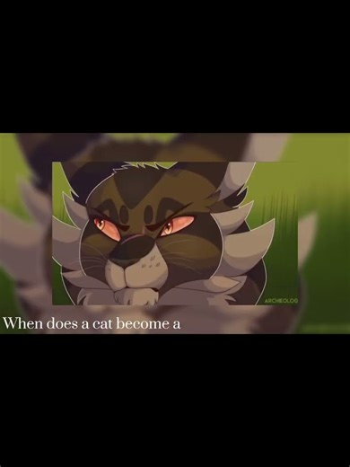 When does a comet become a meteor? #warriorcats #edit #shorts #cat #warriors #wc #books #firestar