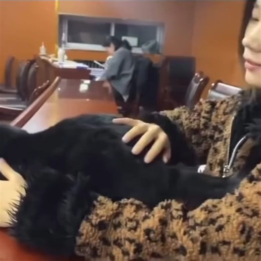 Petos on Instagram: "New York Airports Introduce “Pet Relief Lounges” for Anxious Animals 🐾 Traveling with pets in the U.S. just got easier. Major airports in New York have started rolling out Pet Relief Lounges — quiet, climate-controlled spaces designed to reduce stress for dogs and cats before flights. Airport officials say more pet owners are traveling with animals than ever before, and vets have raised concerns about travel anxiety, dehydration, and noise stress in pets. These new lounges