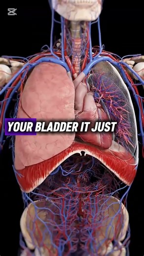 What 9G Really Does to Fighter Pilots’ Bodies #fighterjet #military #combataviation #aviation