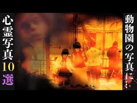 Top 10 Ghost Photos [Photos from the Zoo...]