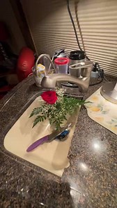 Singing at Sea 2027 | Jeff & Sheri Easter