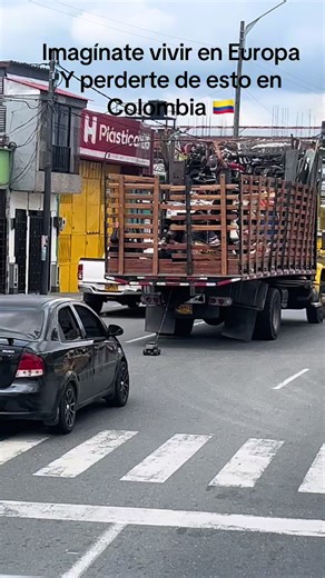 Videos de Natalyrios (@natalyrios2021) con “Con Verraquera - Octavio Mesa”