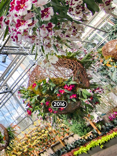 📆 2016 was a good year – our 40th, in fact! Flashback with us and look forward to an incredible 50th year in 2026! #2016 #atlanta #spring #atlantaevents