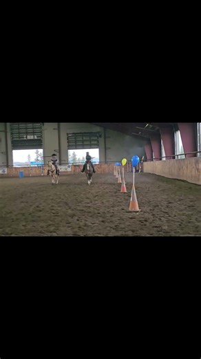 This is how they train horses for gunfire #horseriding #extreme #shocking