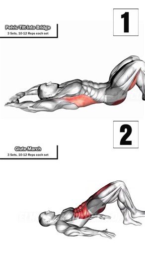 Best Kegel Exercises for Overall Strong Pelvic Muscles💪| Premature Ejaculation Treatment