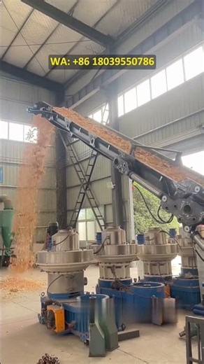 Drum chipper, wood chipper, real-life demonstration of biomass wood chip production.