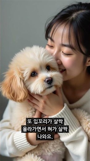 강아지 행복 표정 5가지