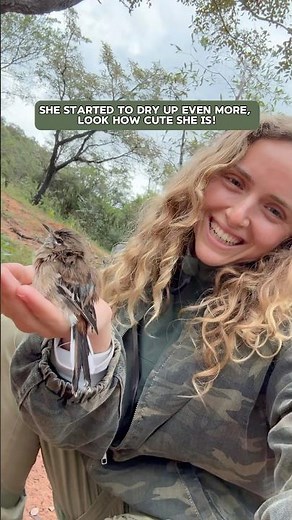 Day in the Life as a Wildlife Biologist!! (All research conducted under permits) #wildlife