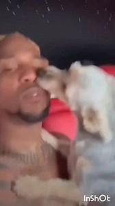 1.6K views · 5 comments | This is how u catch Capnocytophaga Canimorsus & other Diseases that are'nt harmful to the dog, its no better than letting a monkey lick ur face of mouth 臘‍♂️臘‍♂️臘‍♂️冷冷冷 *Capnocytophaga Canimorsus - is a bacteria found in the mouths of many dogs and cats that can cause life-threatening infections in humans. | Micheal J. Sykes | Facebook