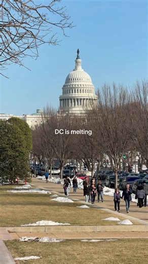 Spring Awaits as DC Melts Away Winter