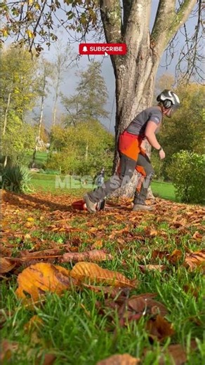 Perfect Cut & Wedge Technique 🪓🌲