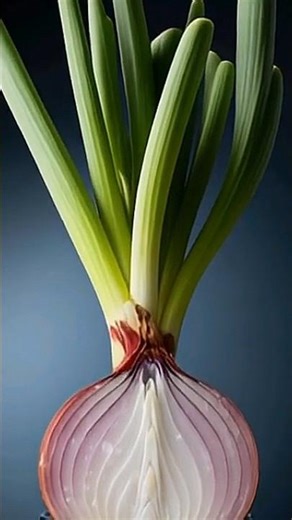 🧅 Magic of Growing Onion | Seed to Plant Timelapse 🌱 #shorts