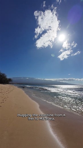 51K views · 1.2K reactions | Sugar Beach runs from Kihei to Maalaea—three miles of pristine shoreline with epic views and fewer crowds. https://www.aliiresorts.com/blog/sugar-beach/ Early risers can spot paddlers, walkers, and in whale season, a glimpse of humpbacks! Ever walked the entire length? #SugarBeach #KiheiMaui | Maui Hawaii | Facebook