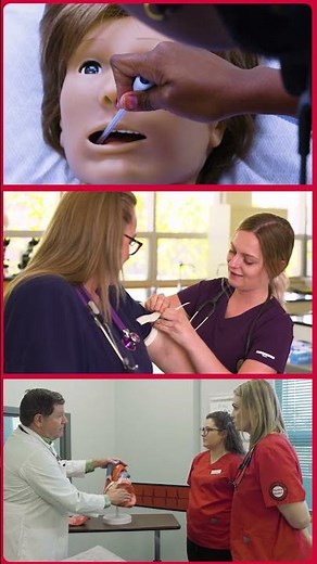 Start Your Nursing Career in Damariscotta