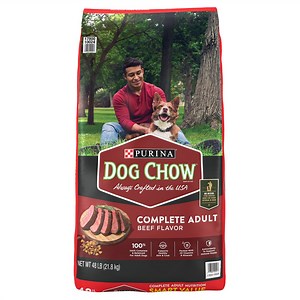 Dog Food