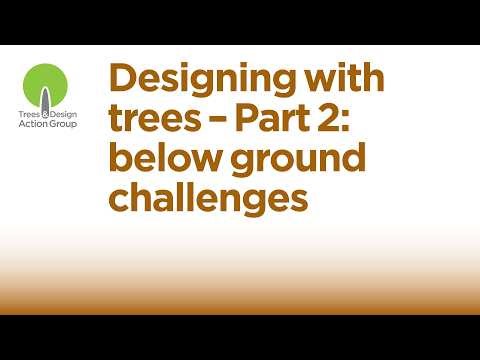 Designing with trees - Part 2: below ground challenges