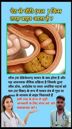 How does stool (feces) come out of the stomach? Defecation process in human || #viral #digestion ...