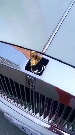 1.6K views · 19 reactions | keyLESS entRy cAr #fypシ #fbreelsfypシ゚ #bunALnOk | Ash Kydn | Facebook