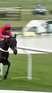 ♥️💙SPRINTER SACRE And "THAT" Amazing Comeback, Look What It Meant To Nico De Boinville At The End🥹 #HorseRacing | Horse Racing Away Days