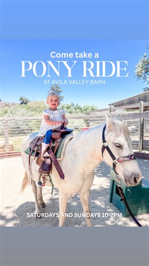 2.9K views · 122 reactions | What’s more fun than a pony ride? 鸞 Saddle up at Avila Valley Barn, where @easydoesitfarms will take your little cowboys and cowgirls for a spin around the arena. Boots on, hats up- it’s time for big smiles and unforgettable adventures! | Avila Valley Barn | Facebook