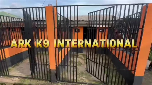 Nous recevons aujourd’hui la vidéo du deuxième challenger : l’élevage Ark K9 International. 👏 Merci à cet élevage d’avoir accepté de présenter l’espace de vie de ses chiens et son organisation. 🎥 En attendant les prochaines participations, découvrez leur installation. 🔥 Quel élevage sera le prochain à relever le défi ? #ChallengeEleveurs #ChiensCameroun #ElevageCanin #ChenilCameroun@Tcheizzer Clips @Pretty Farm 🦚🌴 @Yopfarm 🐾 @ALPHA DOG CAMEROON 237 @arkk9international