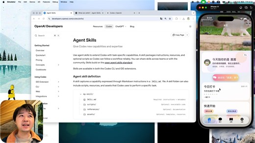 Codex 实战08：Agent Skills 初体验