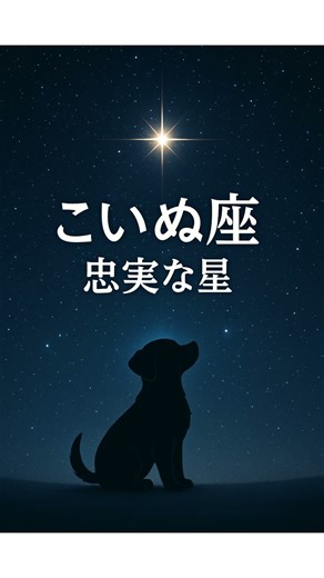 冬の夜空が美しすぎる星座３選２ #雑学 #豆知識 #雑談 #明日 #知識 #頭 #勉強 #教育 #学校 #知恵 #情報 #知識 #星 #星座 #秋 #star #綺麗 #美 #神秘