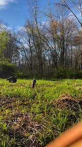 5K views · 31 reactions | Back chasing Turkeys 旅 #turkeyhunting #turkeyseason #reels | Jake Outdoorz | Facebook