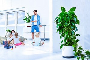 AIRY Pot Design Helps Plants to Purify Indoor Air Better