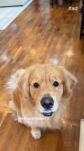 Hears Petco has a limited time promo on Hill's Science Diet. *Grabs keys* | Petco