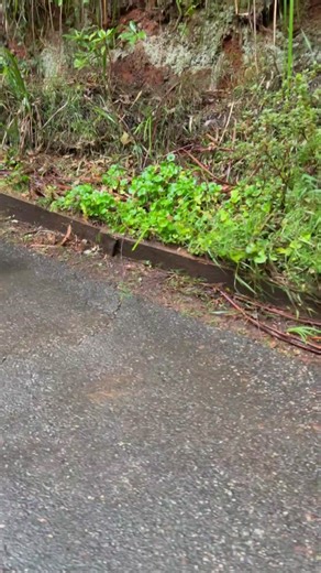 Shop Smarter & Take Advantage of Tax Time at Total Tools!⚙🧰 This 𝗠𝗮𝗸𝗶𝘁𝗮 𝗫𝗚𝗧 𝗕𝗹𝗼𝘄𝗲𝗿 takes it up a notch – smooth, quiet & POWERFUL!!!🔥🔥 Perfect for serious home gardening or full jobsite cleans! Buy now and claim back your work usage! Learn more at https://ato.gov.au/ #totaltools #welovetools #totallysorted #makita