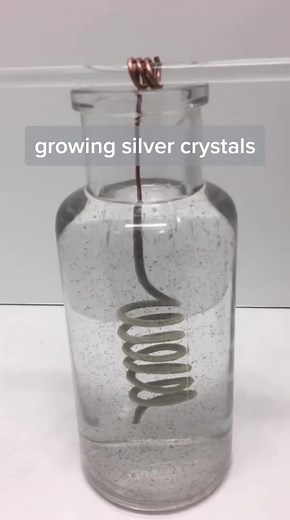 Growing Silver Crystals in Chemistry Lab