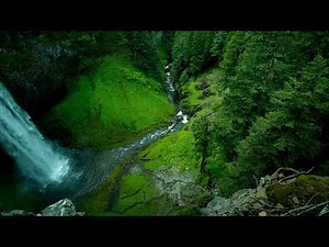 Two Steps From Hell - Evergreen 1 Hour Extended Music (Morning Music)