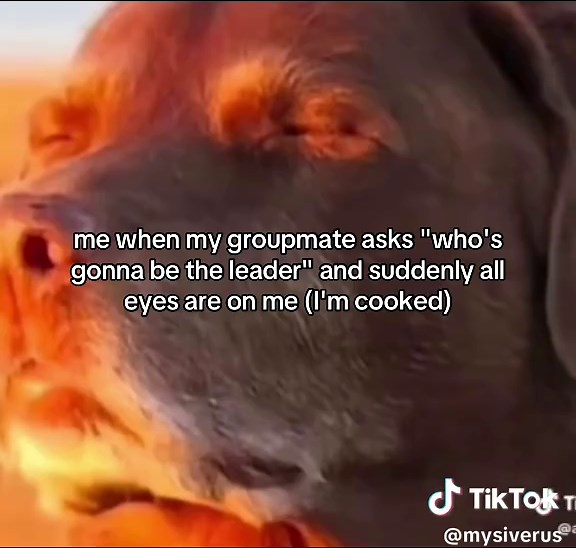 Navigating Group Leadership Conflicts