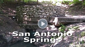San Antonio Springs and Brackenridge Park