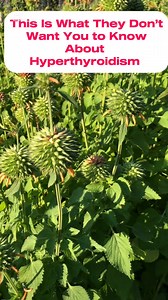 #fypシ゚viralシ #hyperthyroidism | Herbs and Wellness