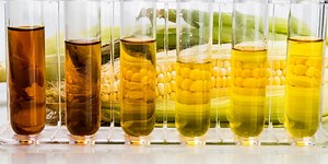 MChem (Hons) Chemistry, Green Principles and Sustainable Processes