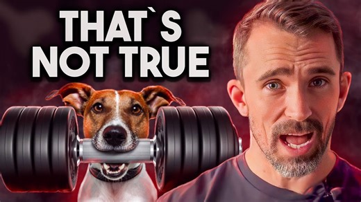 10 Common Dog Myths That Are Totally Wrong