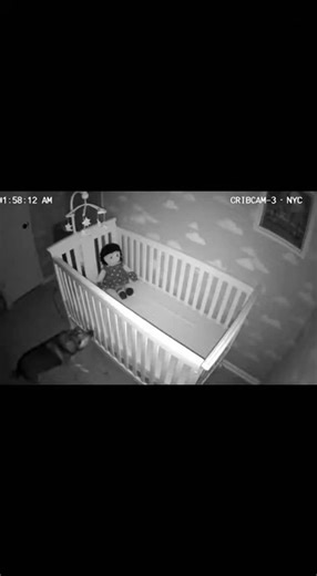 “Every Night, Something New Happens on This Baby Cam…” #CribCam #BabyCam #NightCam
