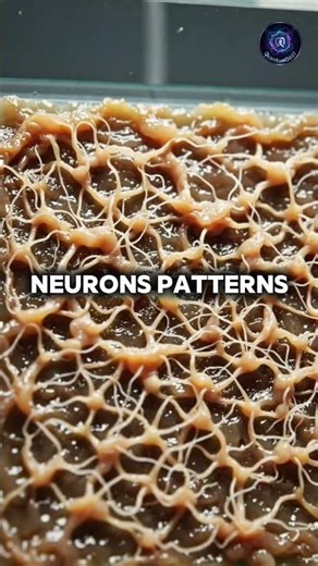 Scientists Trained Living Brain Cells Like AI? 🤯 Biocomputing Explained #facts #scienceshorts