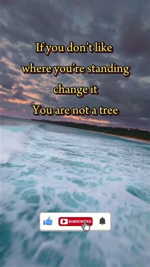 You’re Not a Tree — Move