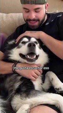 HILARIOUS MOMENTS YOU WON’T BELIEVE! #EpicLaughs