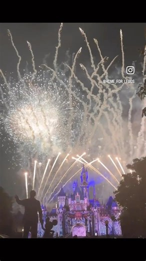 From Pokèball to Magic Kingdom 🎡🐉 #lego #charizard #disney