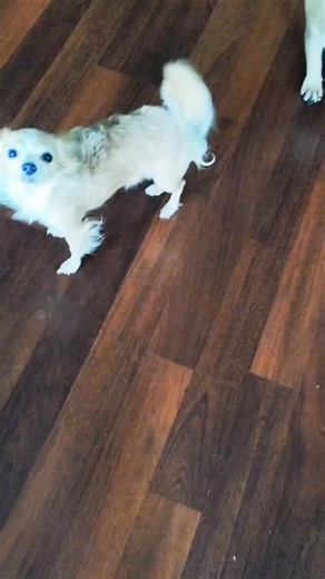 Exploring Major Acting Awards: Oscars, Emmys, and More